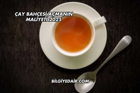 Çay Bahçesi Açmanın Maliyeti 2025