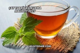 Çay Fabrikası Kurma Maliyeti 2025