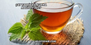 Çay Fabrikası Kurma Maliyeti 2025