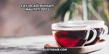 Çay Ocağı Ruhsatı Maliyeti 2025