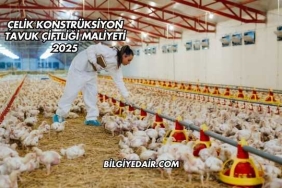 Çelik Konstrüksiyon Tavuk Çiftliği Maliyeti 2025