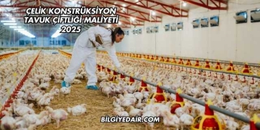 Çelik Konstrüksiyon Tavuk Çiftliği Maliyeti 2025