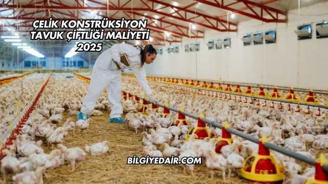 Çelik Konstrüksiyon Tavuk Çiftliği Maliyeti 2025