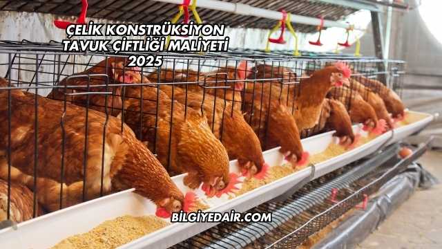 Çelik Konstrüksiyon Tavuk Çiftliği Maliyeti 2025