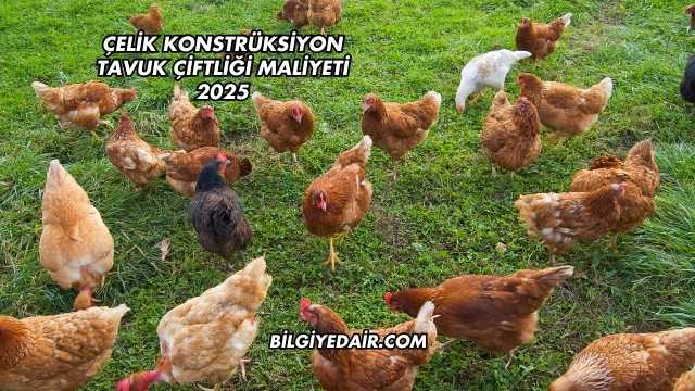 Çelik Konstrüksiyon Tavuk Çiftliği Maliyeti 2025