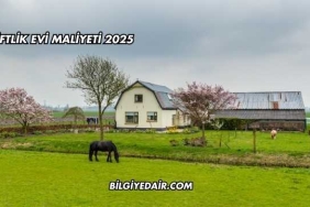Çiftlik Evi Maliyeti 2025
