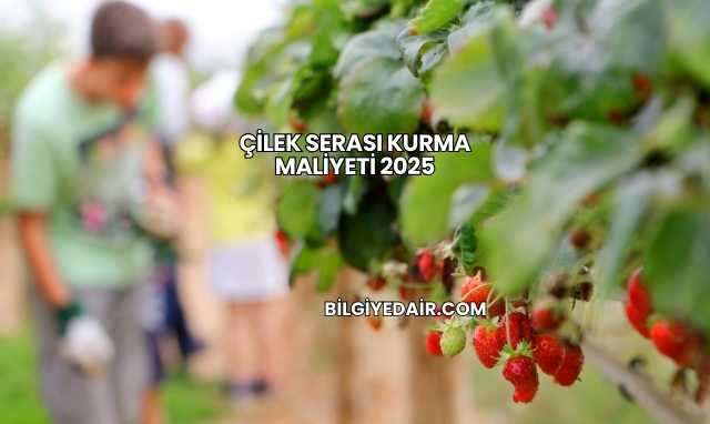 Çilek Serası Kurma Maliyeti 2025