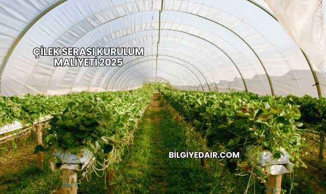 Çilek Serası Kurulum Maliyeti 2025