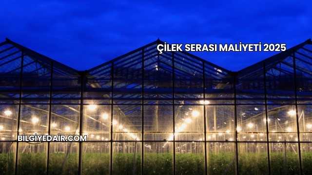 Çilek Serası Maliyeti 2025