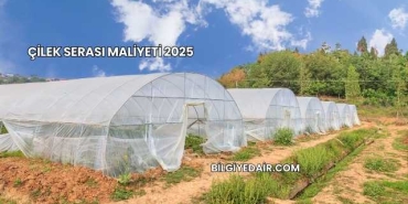 Çilek Serası Maliyeti 2025