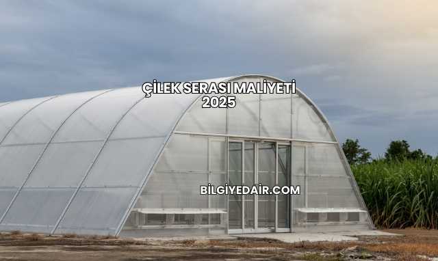Çilek Serası Maliyeti 2025