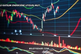 DOAS Katılım Endeksine Uygun mu?