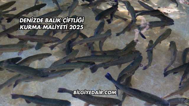 Denizde Balık Çiftliği Kurma Maliyeti 2025