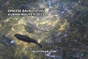 Denizde Balık Çiftliği Kurma Maliyeti 2025