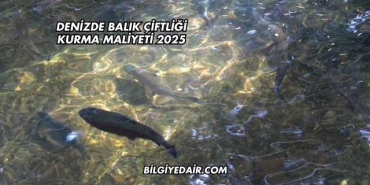 Denizde Balık Çiftliği Kurma Maliyeti 2025