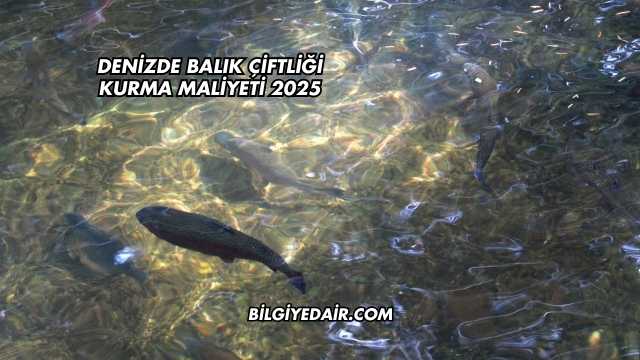 Denizde Balık Çiftliği Kurma Maliyeti 2025
