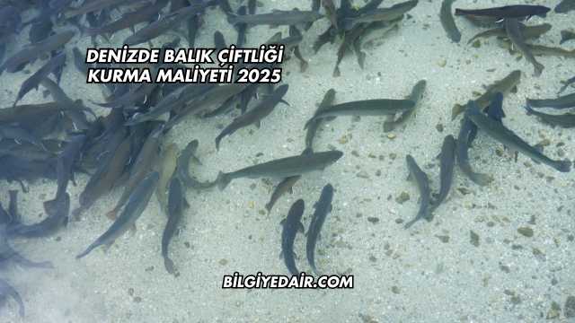 Denizde Balık Çiftliği Kurma Maliyeti 2025