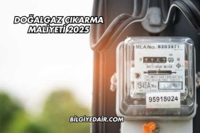 Doğalgaz Çıkarma Maliyeti 2025