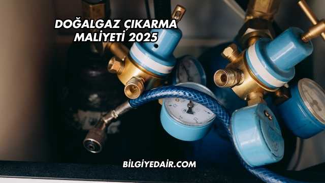 Doğalgaz Çıkarma Maliyeti 2025