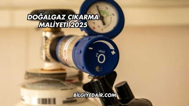 Doğalgaz Çıkarma Maliyeti 2025