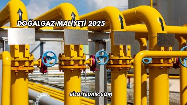 Doğalgaz Maliyeti 2025