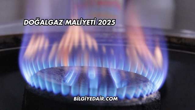 Doğalgaz Maliyeti 2025