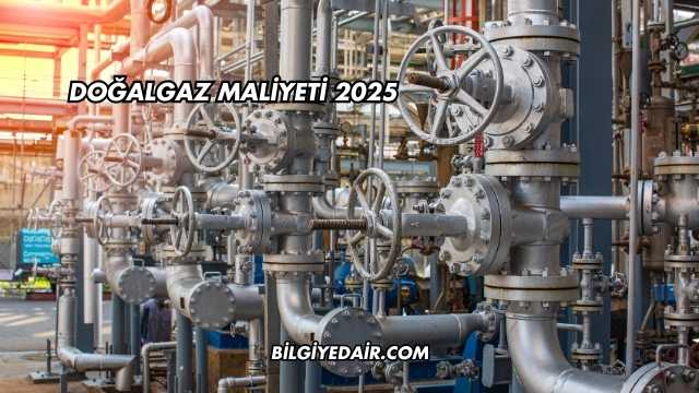 Doğalgaz Maliyeti 2025