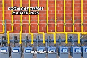 Doğalgaz Tesisat Maliyeti 2025