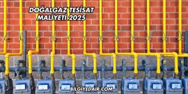 Doğalgaz Tesisat Maliyeti 2025