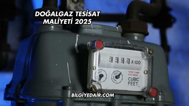 Doğalgaz Tesisat Maliyeti 2025