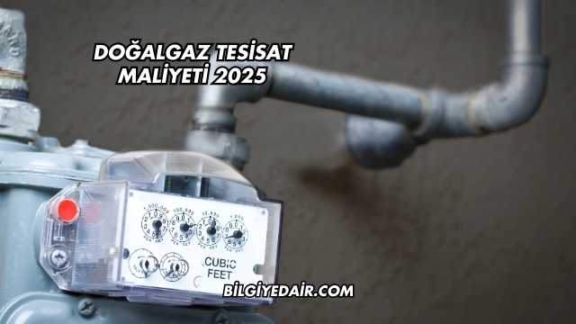 Doğalgaz Tesisat Maliyeti 2025