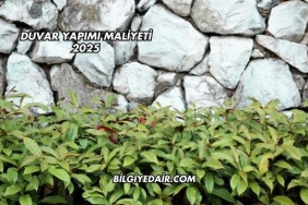 Duvar Yapımı Maliyeti 2025