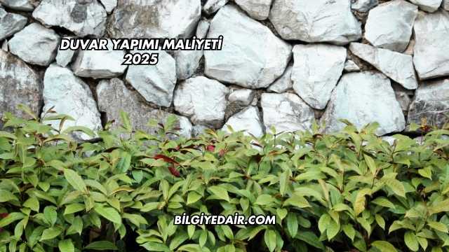 Duvar Yapımı Maliyeti 2025