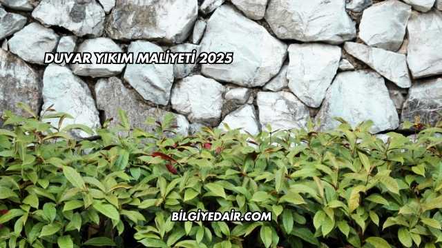 Duvar Yıkım Maliyeti 2025