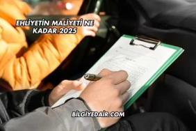 Ehliyetin Maliyeti Ne Kadar 2025