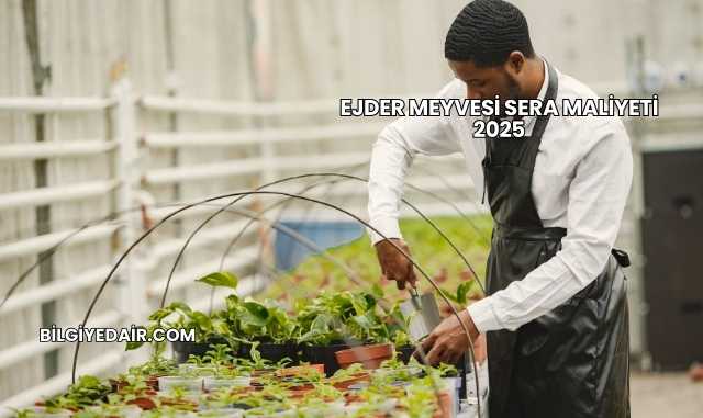 Ejder Meyvesi Sera Maliyeti 2025