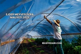 Ejder Meyvesi Sera Maliyeti 2025