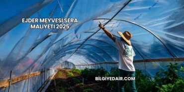 Ejder Meyvesi Sera Maliyeti 2025