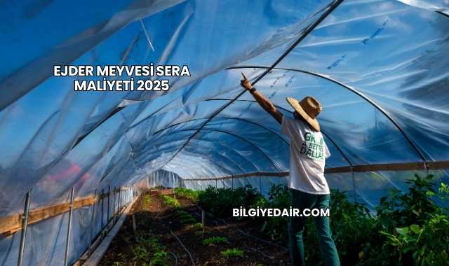 Ejder Meyvesi Sera Maliyeti 2025