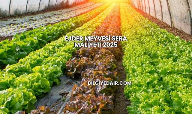 Ejder Meyvesi Sera Maliyeti 2025