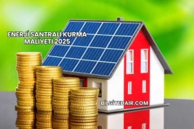 Enerji Santrali Kurma Maliyeti 2025
