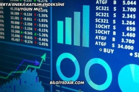 Enerya Enerji Katılım Endeksine Uygun mu?