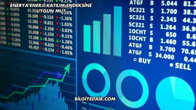 Enerya Enerji Katılım Endeksine Uygun mu?