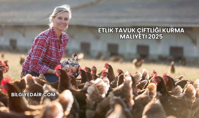 Etlik Tavuk Çiftliği Kurma Maliyeti 2025