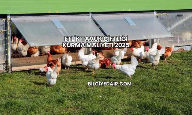 Etlik Tavuk Çiftliği Kurma Maliyeti 2025
