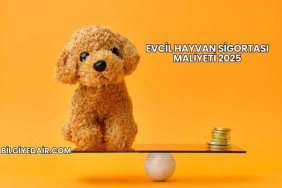 Evcil Hayvan Sigortası Maliyeti 2025