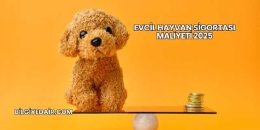 Evcil Hayvan Sigortası Maliyeti 2025