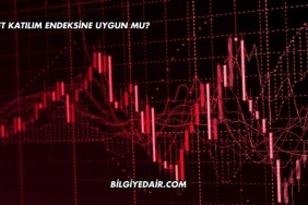 Fonet Katılım Endeksine Uygun mu?