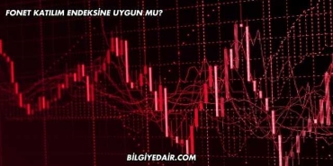 Fonet Katılım Endeksine Uygun mu?
