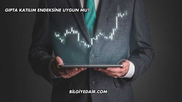 Gıpta Katılım Endeksine Uygun mu?